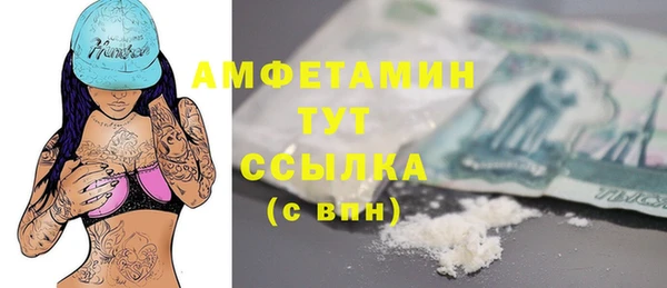 молекула духа Ладушкин