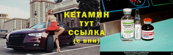 молекула духа Ладушкин