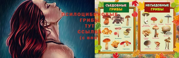 эйфоретик Лагань