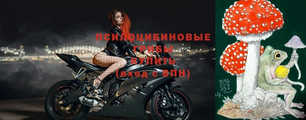 молекула духа Ладушкин