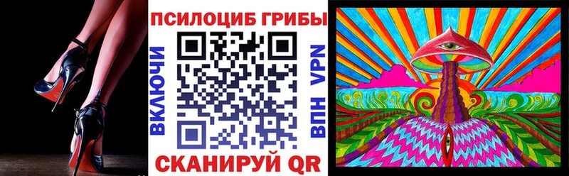 Купить где  Катав-Ивановск  Галлюциногенные грибы мицелий 